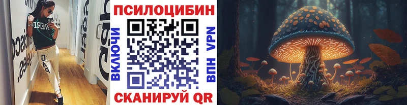 Галлюциногенные грибы GOLDEN TEACHER  Купить где  Снежногорск 